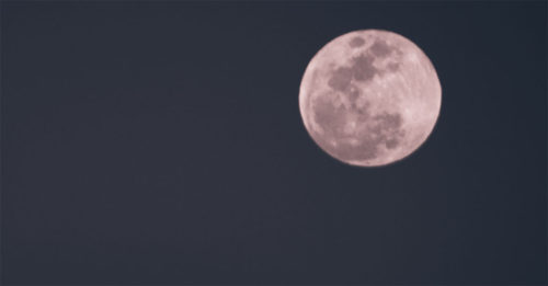  Ieri  ed a Pasquetta in cielo la Luna Rosa che rosa non è