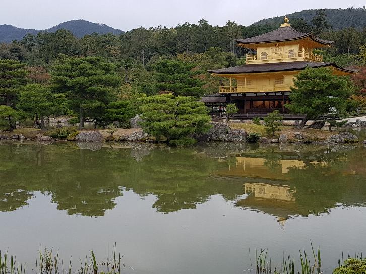  Giappone-Kyoto, i templi ed i giardini storici