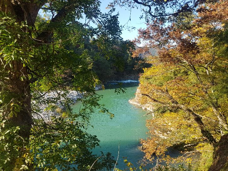  Ogimachi-un tuffo nella storia delle comunità rurali del Giappone