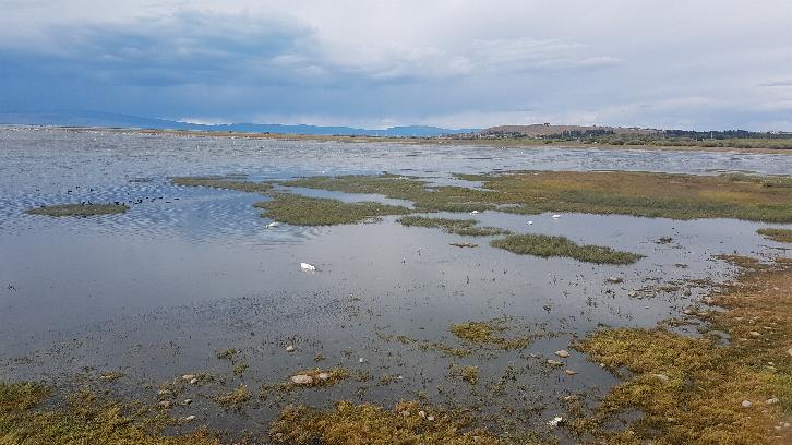  El Calafate: l’avamposto della Patagonia