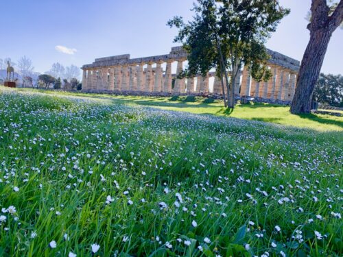  Il Parco Archeologico di Paestum e Velia riapre ai visitatori