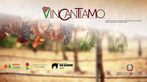  Modavi Salerno: formazione, studio e sensibilizzazione attraverso la cura delle vigne