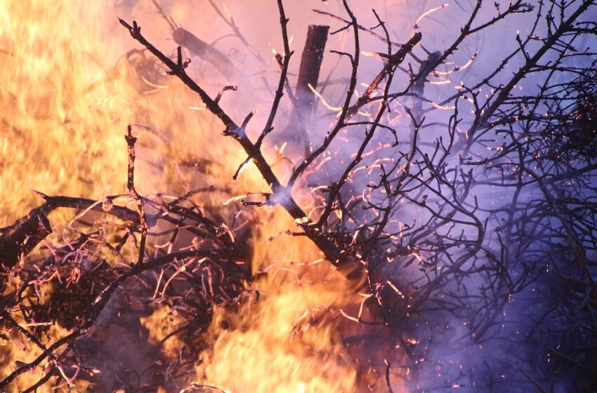  Incendi in Sardegna, geologi: ambiente e territorio, una ineludibile priorità nell’agenda politica italiana