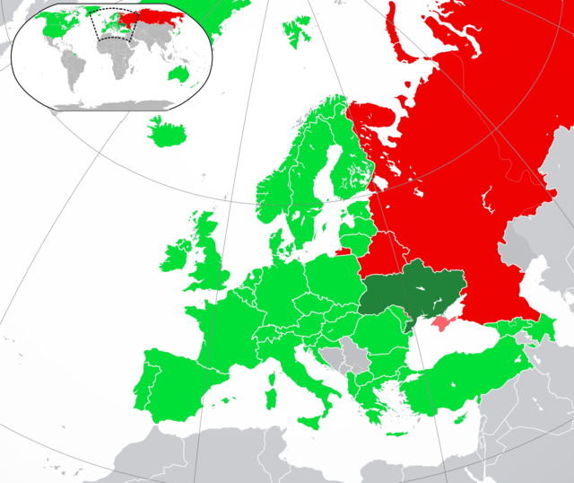  La tutela dei diritti nella Federazione Russa