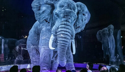  Il Circo a Salerno è finalmente senza animali!