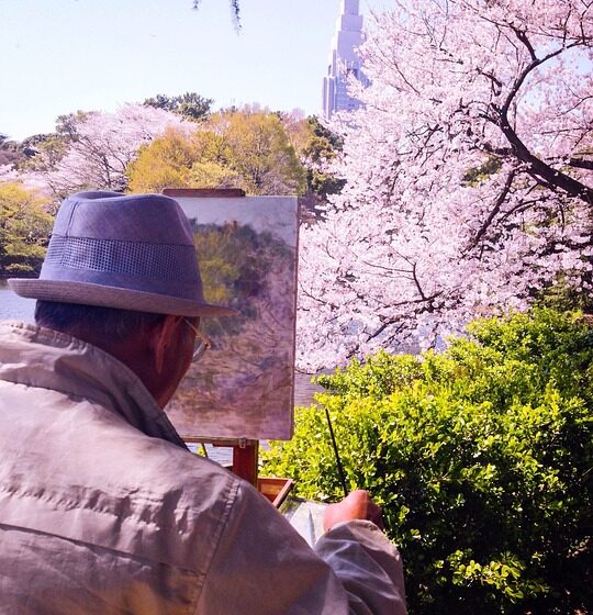  La primavera si ridesta, in Giappone, sakura, la fioritura dei ciliegi