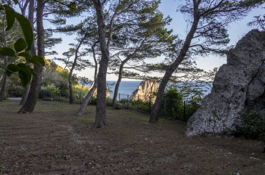  Capri: dal 23 giugno riapre al pubblico il Parco della Certosa San Giacomo