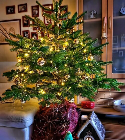  L’albero di Natale: storia e tradizioni