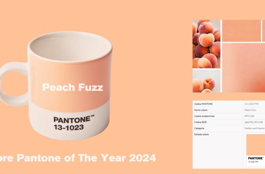  “Peach Fuzz Pantone 13-1023: Il Caldo Abbraccio del Nuovo Colore del 2024”