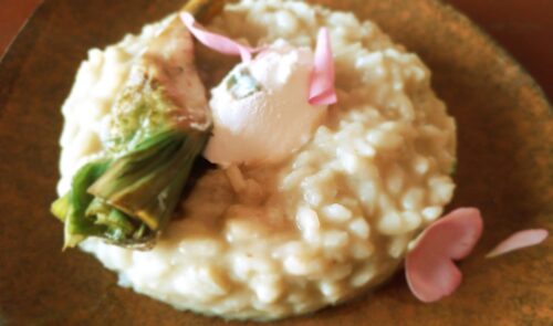  La ricetta del Venerdì con lo chef Marianna Sessa: Risotto alla crema di carciofi