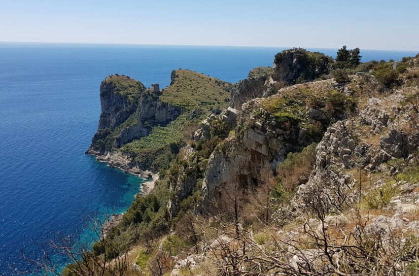  Con il FAI Campania: “Giardini segreti”, otto appuntamenti dedicati alla biodiversità