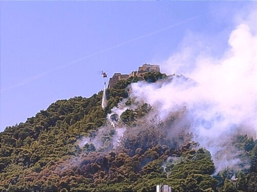  Il salernitano brucia, sull’incendio a Persano, Bonavitacola: “vicenda oscura segnata da azioni di stampo criminale”