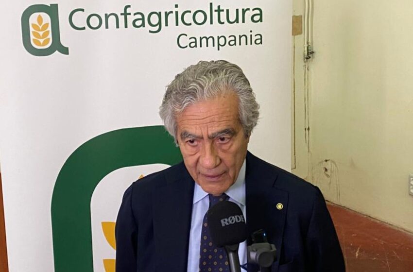  Agricoltura Biologica, Campania protagonista nel panorama nazionale