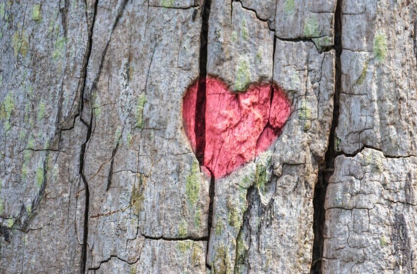  San Valentino, la festa di tutti coloro che si amano